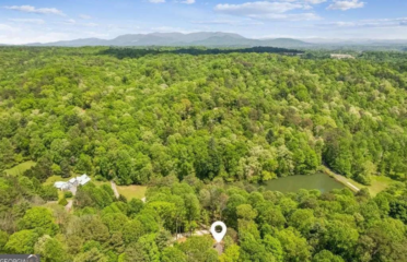 Amy Klassen | The Mountain Team | RE/MAX Town & Country