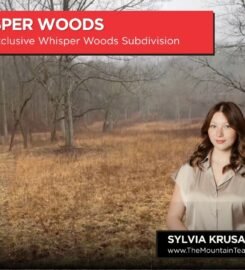 Sylvia Krusac | The Mountain Team | RE/MAX Town & Country